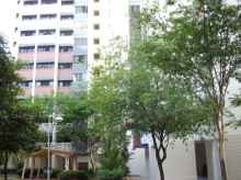 Blk 267 Toh Guan Road (Jurong East), HDB 5 Rooms #169442